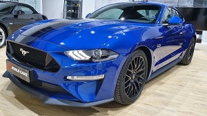 Ficha reducida Ford Mustang GT del 2019