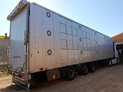 Semirremolque Cuppers transporte de ganado